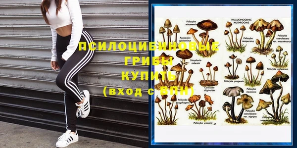 apvp Новокубанск