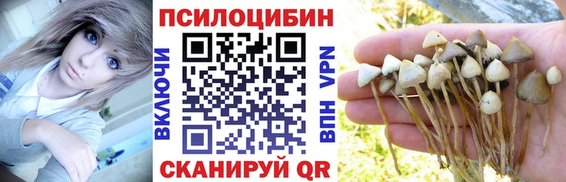 Псилоцибиновые грибы мухоморы Котельниково
